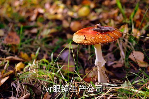 2016中國(guó)首屆虛擬現(xiàn)實(shí)大會(huì)