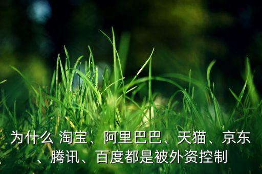 為什么 淘寶、阿里巴巴、天貓、京東、騰訊、百度都是被外資控制