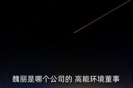 魏麗是哪個公司的 高能環(huán)境董事