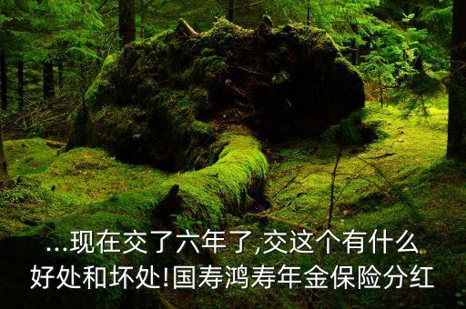 ...現(xiàn)在交了六年了,交這個(gè)有什么好處和壞處!國(guó)壽鴻壽年金保險(xiǎn)分紅