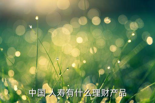 中國(guó) 人壽有什么理財(cái)產(chǎn)品