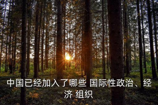 中國已經(jīng)加入了哪些 國際性政治、經(jīng)濟(jì) 組織