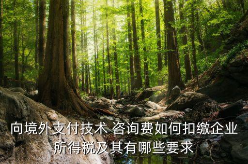 向境外支付技術(shù) 咨詢(xún)費(fèi)如何扣繳企業(yè)所得稅及其有哪些要求