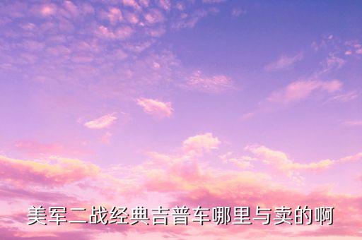 美國(guó)威利斯融資租賃公司,美國(guó)融資租賃公司排名