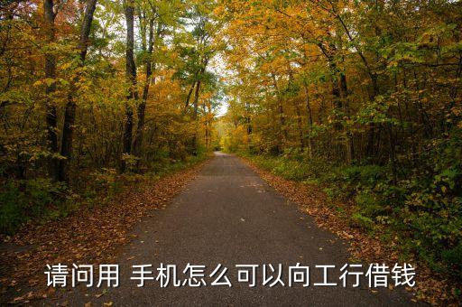 請(qǐng)問(wèn)用 手機(jī)怎么可以向工行借錢