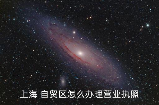上海 自貿(mào)區(qū)怎么辦理營業(yè)執(zhí)照