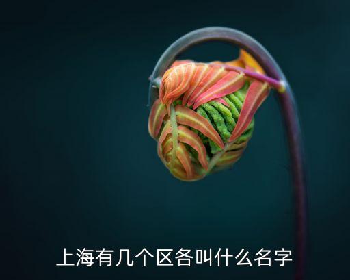 上海有幾個(gè)區(qū)各叫什么名字