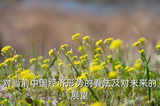 對當前中國經(jīng)濟形勢的看法及對未來的展望