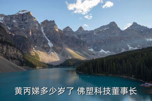 黃丙娣多少歲了 佛塑科技董事長(zhǎng)