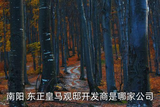 南陽(yáng) 東正皇馬觀邸開(kāi)發(fā)商是哪家公司