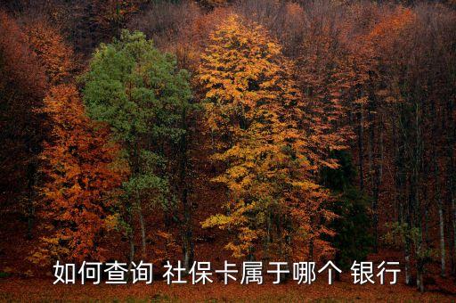 華北油田社?？ㄣy行,社?？ɡ锏腻X在哪個銀行可以取