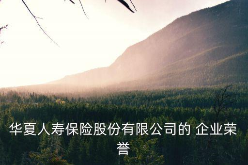 華夏人壽保險股份有限公司的 企業(yè)榮譽(yù)