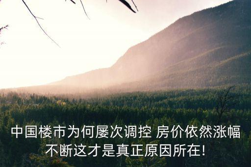 中國(guó)房?jī)r(jià)有沒有泡沫,中國(guó)有沒有經(jīng)濟(jì)泡沫