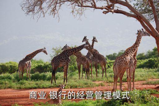 銀行客戶結(jié)構(gòu)考核指標,銀行理財經(jīng)理考核指標