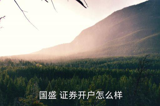  國(guó)盛 證券開(kāi)戶(hù)怎么樣