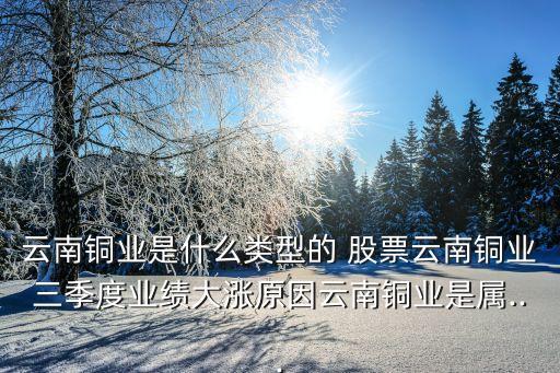 云南銅業(yè)是什么類型的 股票云南銅業(yè)三季度業(yè)績(jī)大漲原因云南銅業(yè)是屬...