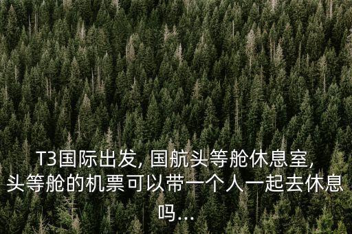 T3國際出發(fā), 國航頭等艙休息室,頭等艙的機票可以帶一個人一起去休息嗎...