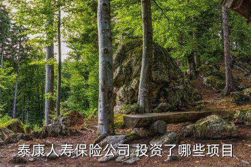 泰康人壽保險公司 投資了哪些項目