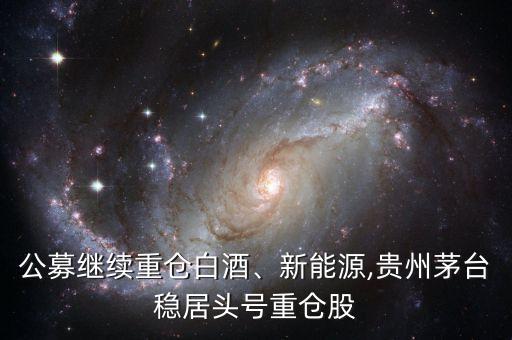 公募繼續(xù)重倉(cāng)白酒、新能源,貴州茅臺(tái)穩(wěn)居頭號(hào)重倉(cāng)股