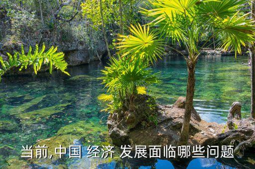 當前,中國 經(jīng)濟 發(fā)展面臨哪些問題