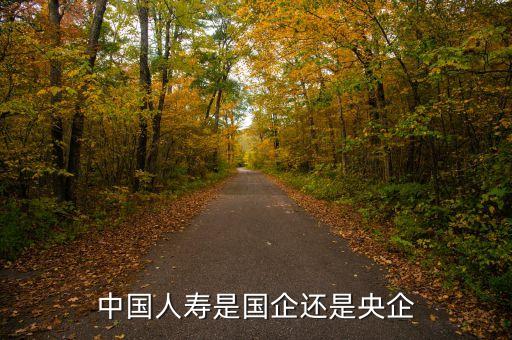 中國人壽是國企還是央企