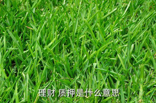 理財產品的質押對銀行的好處,銀行理財產品可質押與不可質押區(qū)別