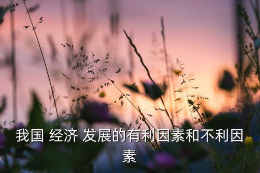 我國 經(jīng)濟 發(fā)展的有利因素和不利因素
