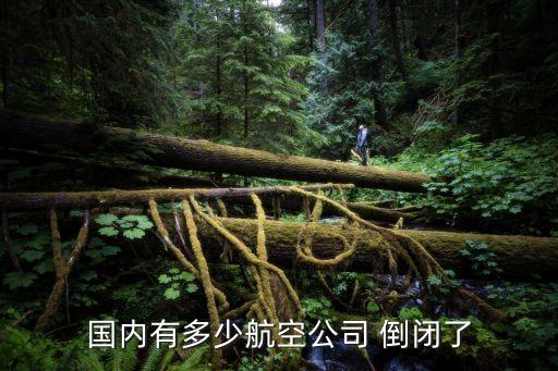 國(guó)內(nèi)有多少航空公司 倒閉了