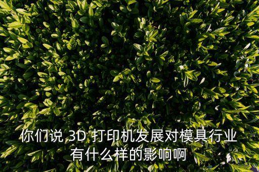 你們說 3D 打印機發(fā)展對模具行業(yè)有什么樣的影響啊