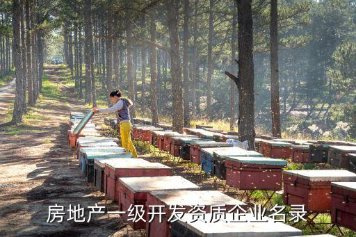 房地產(chǎn)一級(jí)開發(fā)資質(zhì)企業(yè)名錄