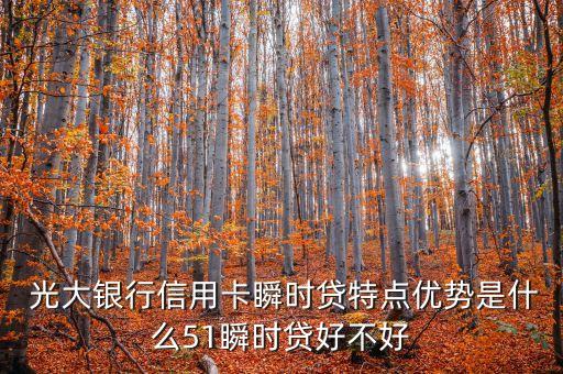  光大銀行信用卡瞬時(shí)貸特點(diǎn)優(yōu)勢是什么51瞬時(shí)貸好不好