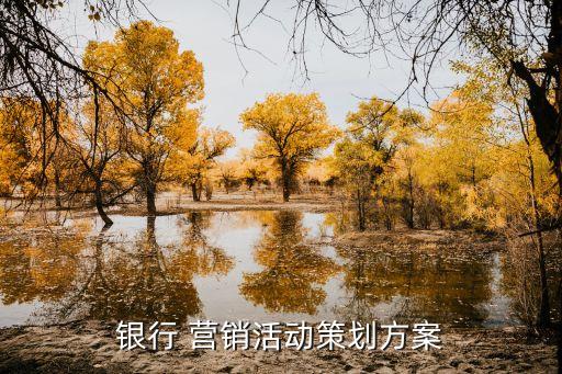 銀行 營銷活動(dòng)策劃方案