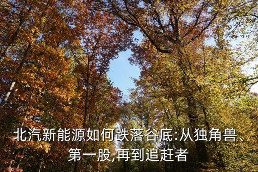 北汽新能源如何跌落谷底:從獨(dú)角獸、第一股,再到追趕者