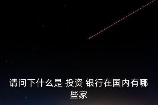 請(qǐng)問(wèn)下什么是 投資 銀行在國(guó)內(nèi)有哪些家