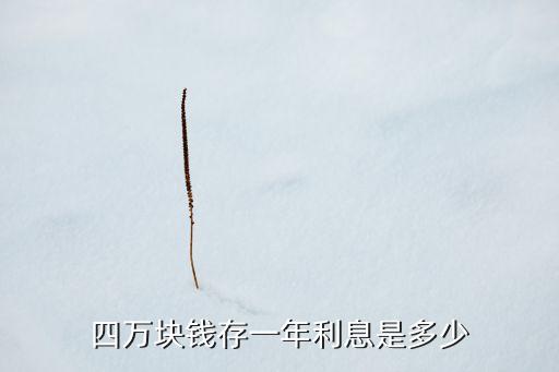 四萬(wàn)塊錢存一年利息是多少