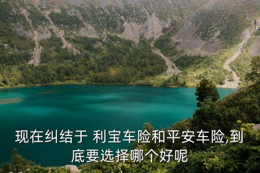 美國利寶互助保險(xiǎn)集團(tuán)