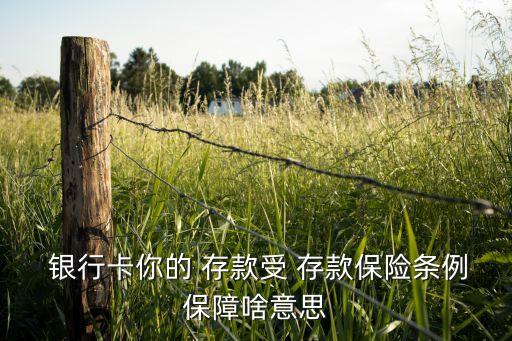 銀行怎么應(yīng)對存款保險(xiǎn)制度,銀行存款保險(xiǎn)制度50萬如何解讀