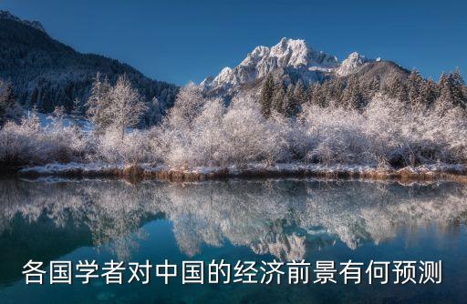 各國(guó)學(xué)者對(duì)中國(guó)的經(jīng)濟(jì)前景有何預(yù)測(cè)