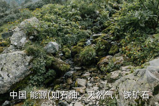 中國能源進(jìn)口國,世界能源進(jìn)口國排名