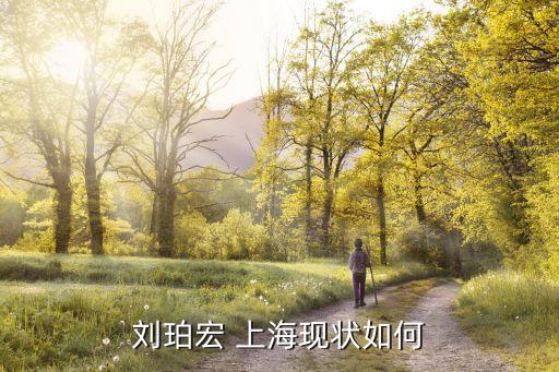 劉珀宏 上?，F(xiàn)狀如何