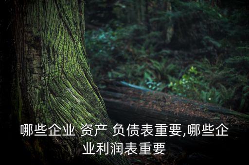 哪些企業(yè) 資產 負債表重要,哪些企業(yè)利潤表重要