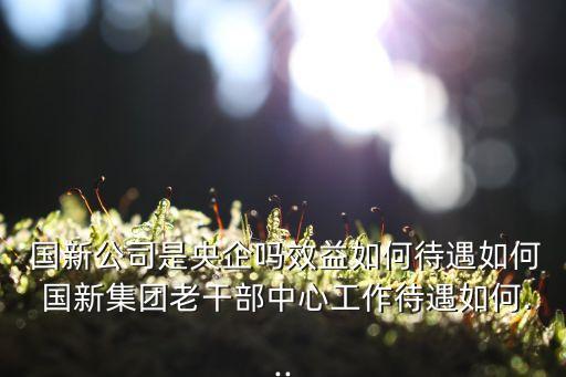  國(guó)新公司是央企嗎效益如何待遇如何 國(guó)新集團(tuán)老干部中心工作待遇如何...