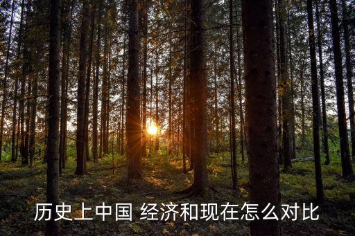 歷史上中國 經濟和現在怎么對比