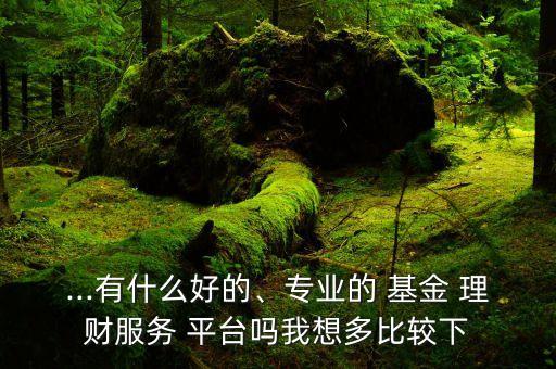 ...有什么好的、專業(yè)的 基金 理財服務 平臺嗎我想多比較下