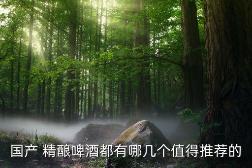 國(guó)產(chǎn) 精釀啤酒都有哪幾個(gè)值得推薦的