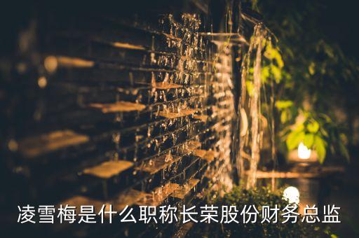凌雪梅是什么職稱長榮股份財務總監(jiān)