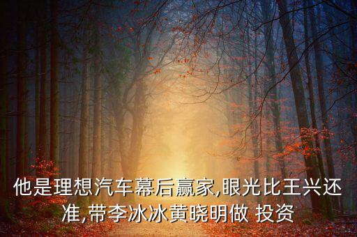 他是理想汽車幕后贏家,眼光比王興還準,帶李冰冰黃曉明做 投資