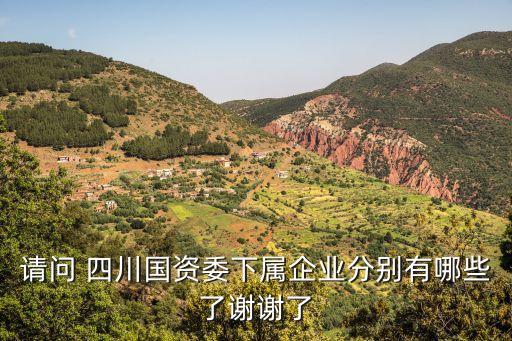 請(qǐng)問(wèn) 四川國(guó)資委下屬企業(yè)分別有哪些了謝謝了