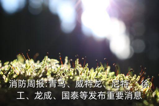 消防周報:青鳥、威特龍、尼特、 徐工、龍成、國泰等發(fā)布重要消息
