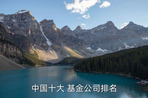 中國(guó)十大 基金公司排名